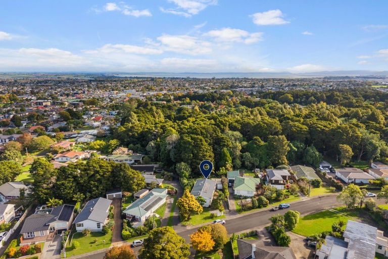 Photo of property in 17 Hillcrest Grove, Hillpark, Auckland, 2102