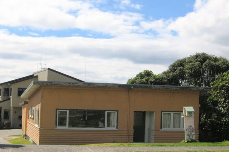 Photo of property in 161a Oceanview Road, Mount Maunganui, 3116