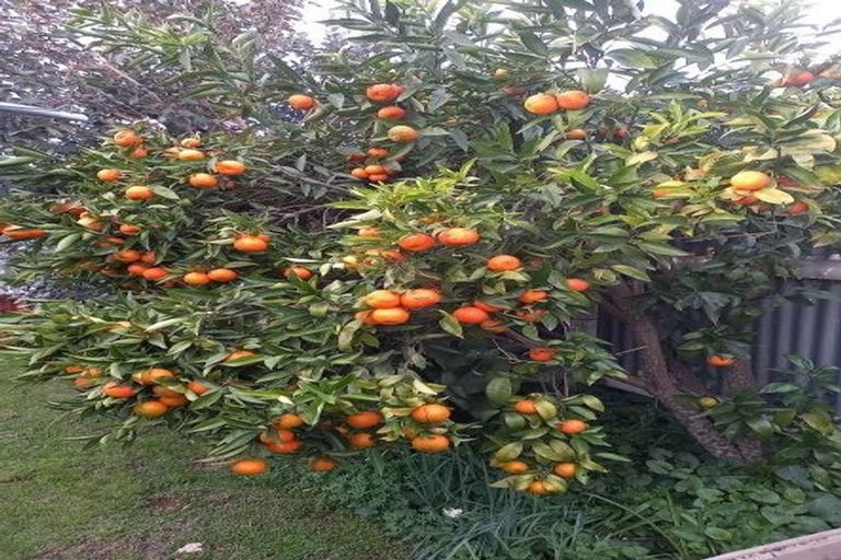 Photo of property in 1407 Caroline Road, Mayfair, Hastings, 4122