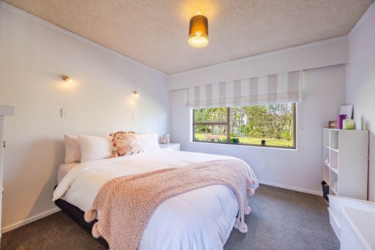 Photo of property in 163 Porangahau Road, Waipukurau, 4200