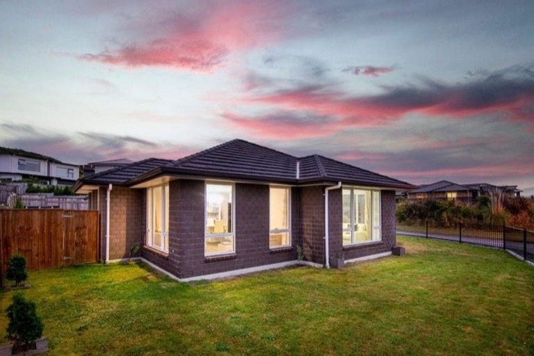 Photo of property in 81 John Burke Drive, Aotea, Porirua, 5024