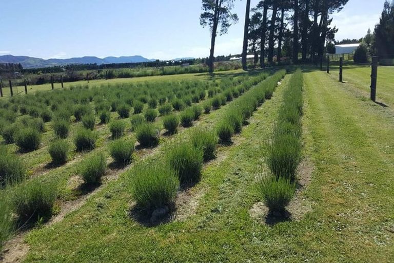 Photo of property in 672 Depot Road, Burnt Hill, Oxford, 7495