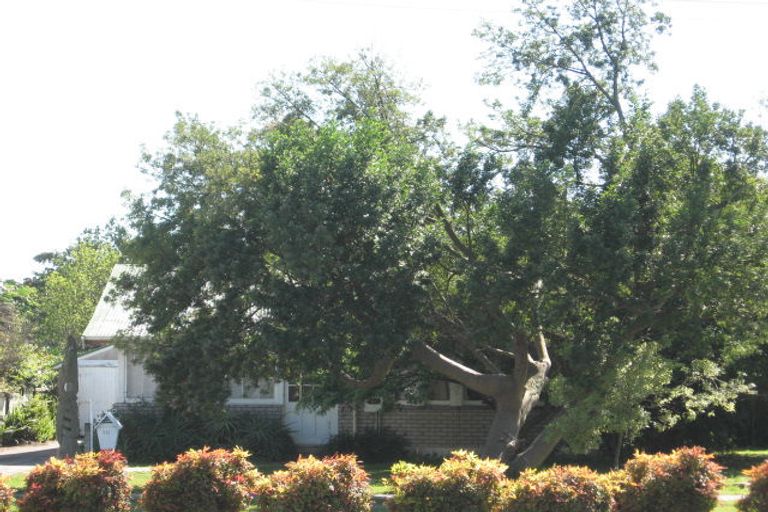 Photo of property in 711 Gladstone Road, Te Hapara, Gisborne, 4010