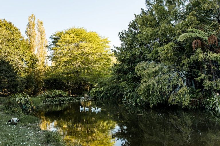 Photo of property in 186 Twilight Road, Clevedon, Papakura, 2582