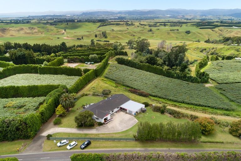 Photo of property in 485 Paerata Ridge Road, Waiotahe, Opotiki, 3198