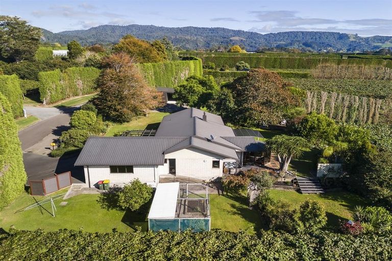 Photo of property in 61 Whitehead Avenue, Te Puke, 3183