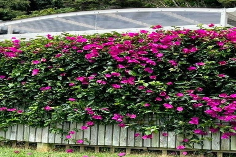 Photo of property in 19 Banks Boulevard, Whitby, Porirua, 5024