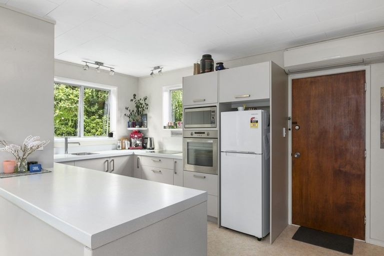 Photo of property in 33 Elliffe Place, Shiel Hill, Dunedin, 9013