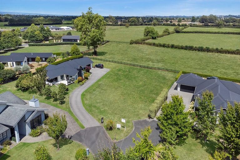 Photo of property in 7 Danehill Close, Matamata, 3400