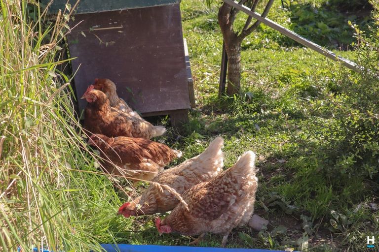 Photo of property in 481 Main Road, Kaiata, Greymouth, 7805