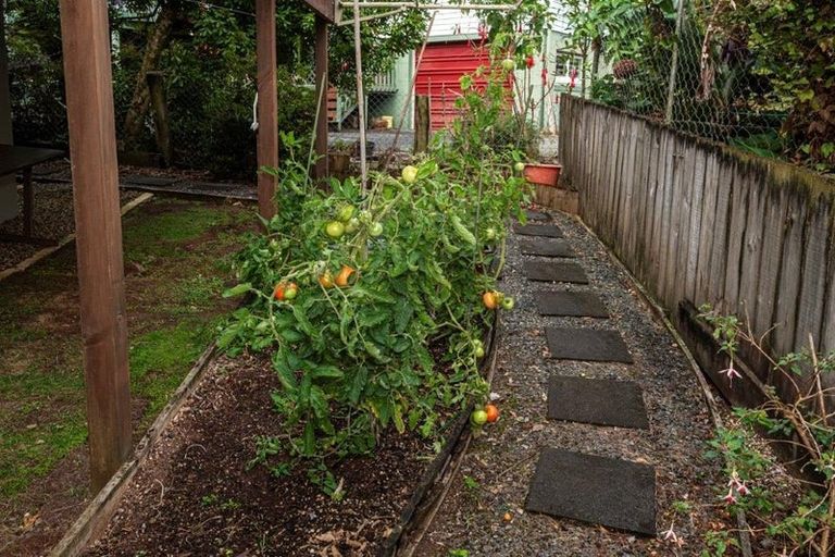 Photo of property in 62 Crawford Crescent, Te Kamo, Whangarei, 0112