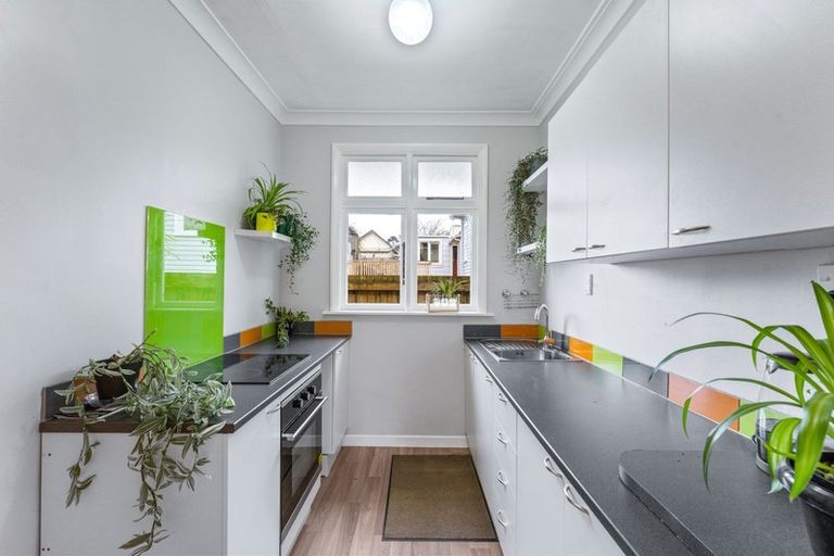 Photo of property in 53 Stevenson Avenue, Sawyers Bay, Port Chalmers, 9023