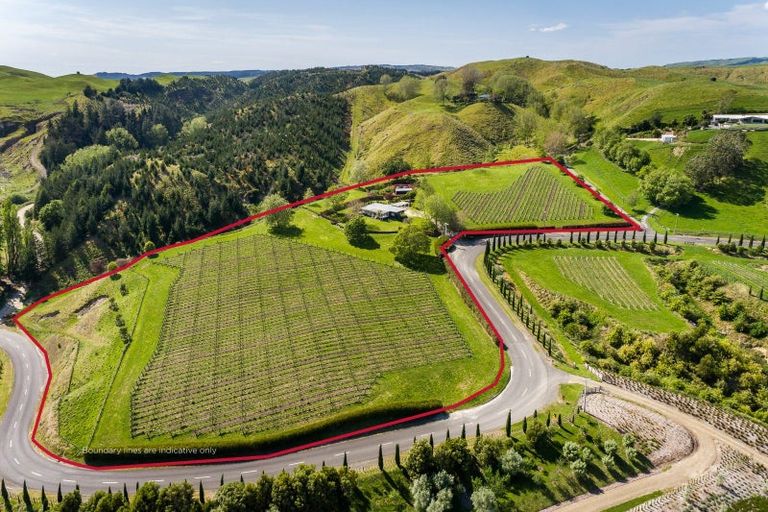 Photo of property in 619 Tuki Tuki Road, Tuki Tuki, Havelock North, 4180