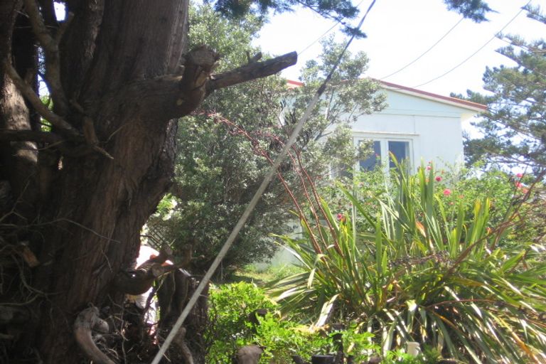Photo of property in 41 Korora Road, Oneroa, Waiheke Island, 1081