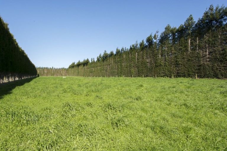 Photo of property in 98 Tetley Road, Tahawai, 3178