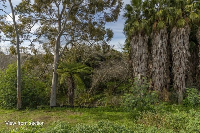 Photo of property in 7 Washingtonia Way, Omokoroa, 3114