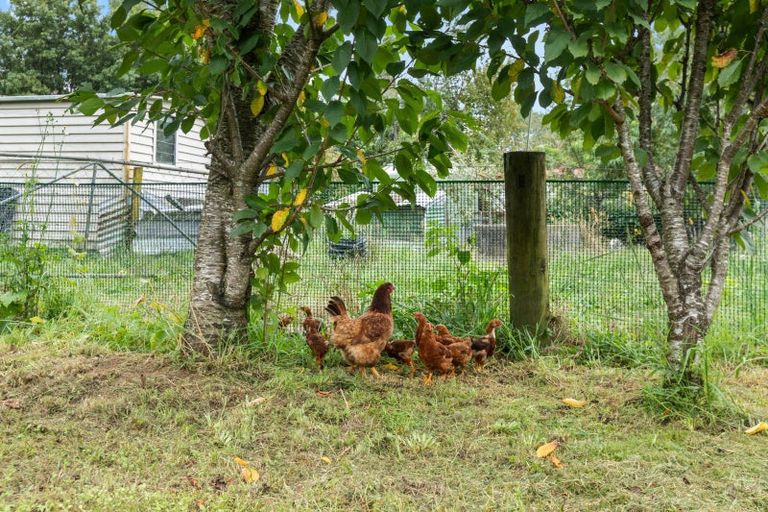 Photo of property in 353 Wairakau Road, Manawaru, Te Aroha, 3391