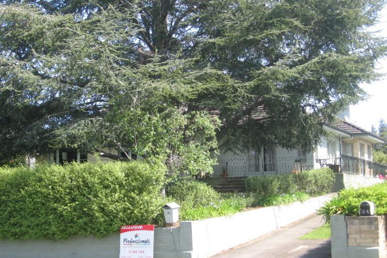 Photo of property in 9 Alexandra Avenue, Morrinsville, 3300