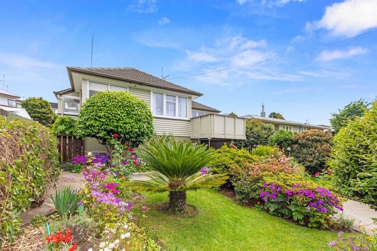 Photo of property in 451 Fraser Street, Parkvale, Tauranga, 3112