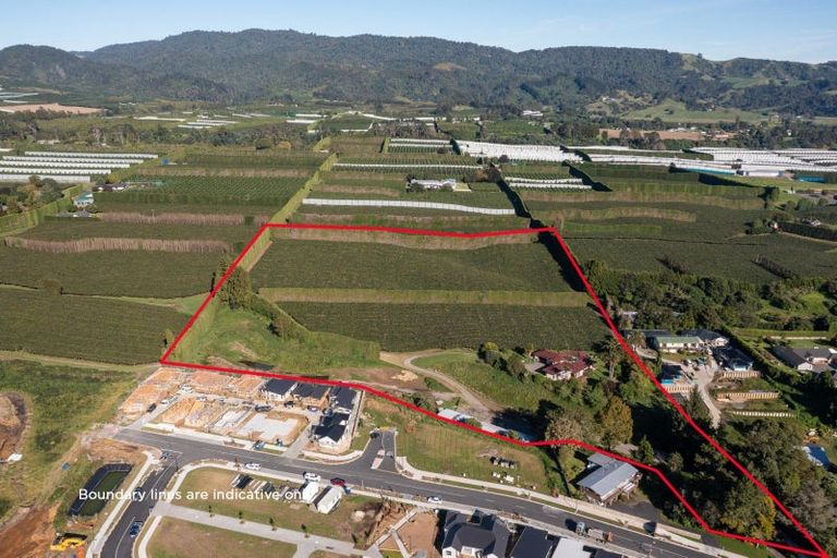 Photo of property in 81 Dunlop Road, Te Puke, 3119