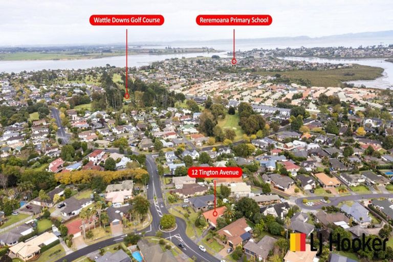 Photo of property in 12 Tington Avenue, Wattle Downs, Auckland, 2103