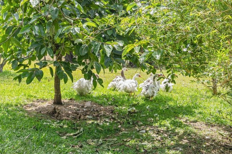 Photo of property in 726 Puketitoi Road, Titoki, Whangarei, 0172