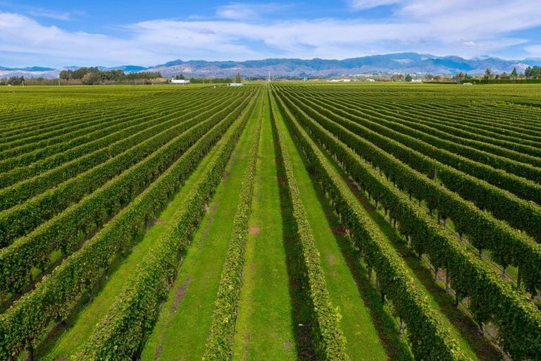 Photo of property in 196 Rapaura Road, Rapaura, Blenheim, 7273