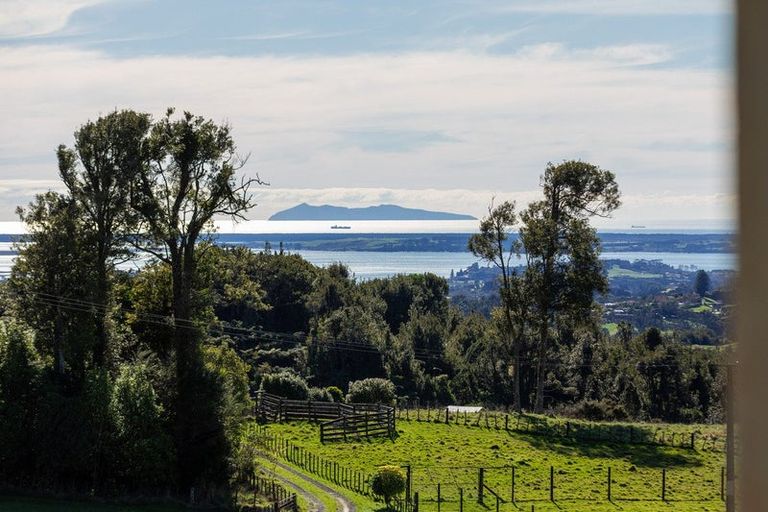 Photo of property in 1039e Work Road, Whakamarama, Katikati, 3181