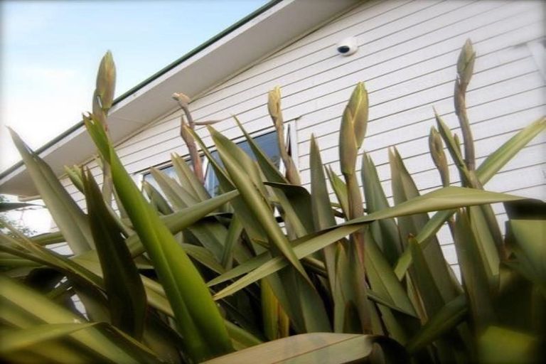 Photo of property in 1/14 Pax Avenue, Forrest Hill, Auckland, 0620