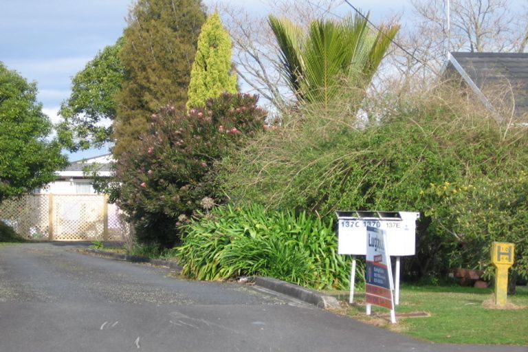 Photo of property in 137a Ellicott Road, Nawton, Hamilton, 3200