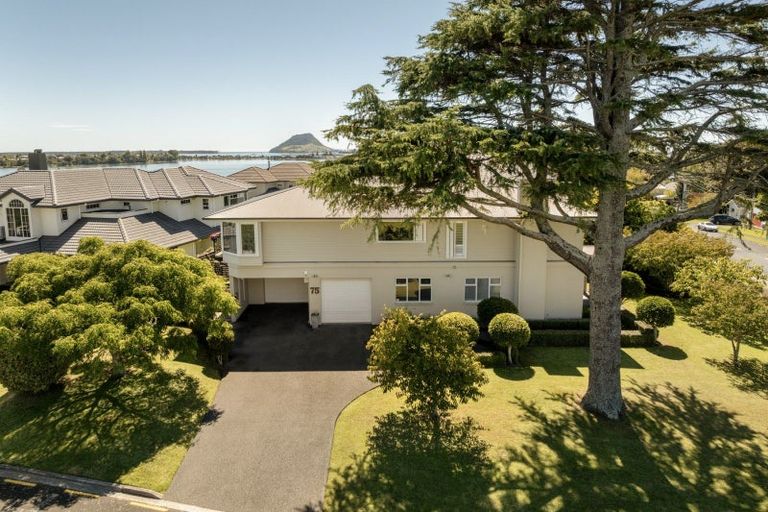 Photo of property in 75 Fifth Avenue, Tauranga, 3110