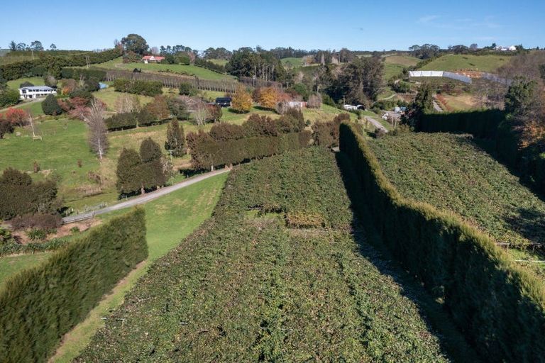 Photo of property in 394 Old Highway, Whakamarama, 3180