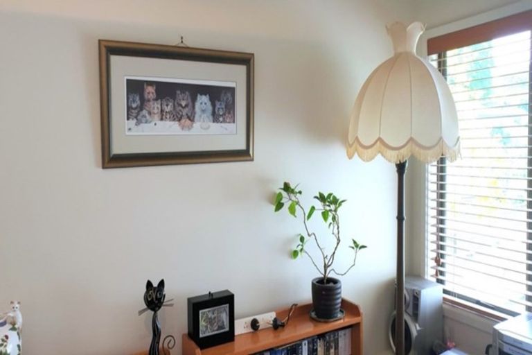 Photo of property in 5b Waipapa Road, Thames, 3578