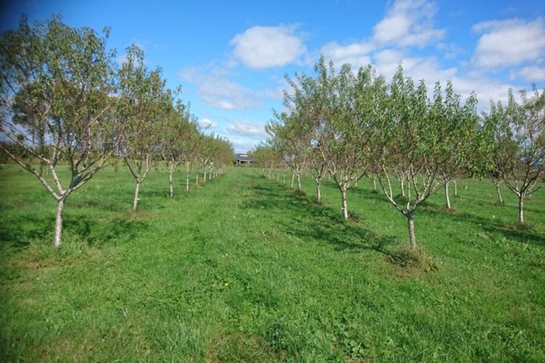 Photo of property in 324 Greig Road, Matata, Whakatane, 3194