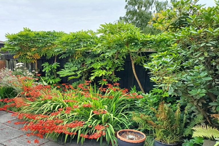 Photo of property in 21 Dunrobin Place, Avonhead, Christchurch, 8042