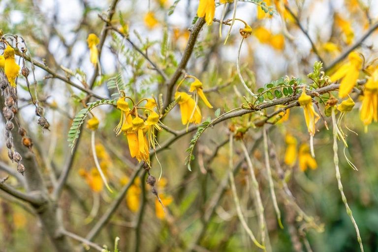 Photo of property in 3 Stenning Place, Papamoa Beach, Papamoa, 3118