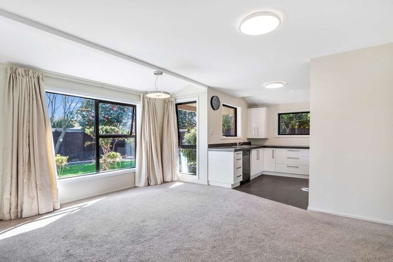 Photo of property in 46a Coopers Road, Dallington, Christchurch, 8061