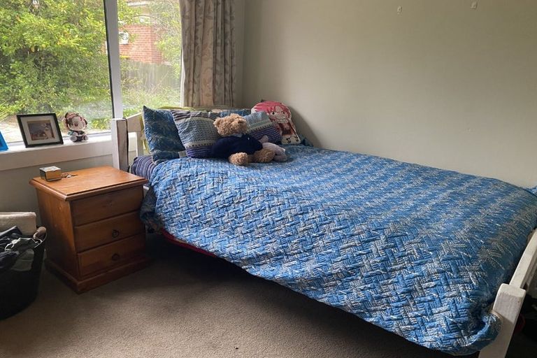 Photo of property in 207 Forfar Street, Maryhill, Dunedin, 9011