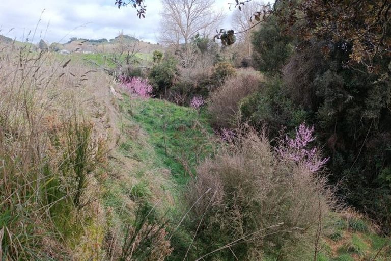Photo of property in 24 Mangamingi Road, Mihi, Reporoa, 3083