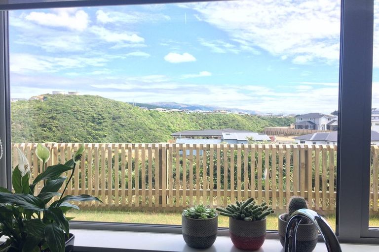 Photo of property in 24 Trelawny Terrace, Grenada Village, Wellington, 6037