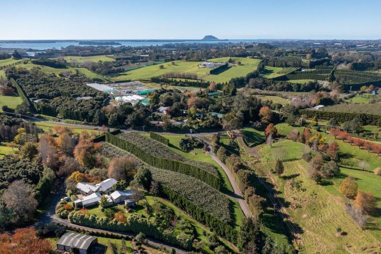 Photo of property in 394 Old Highway, Whakamarama, 3180