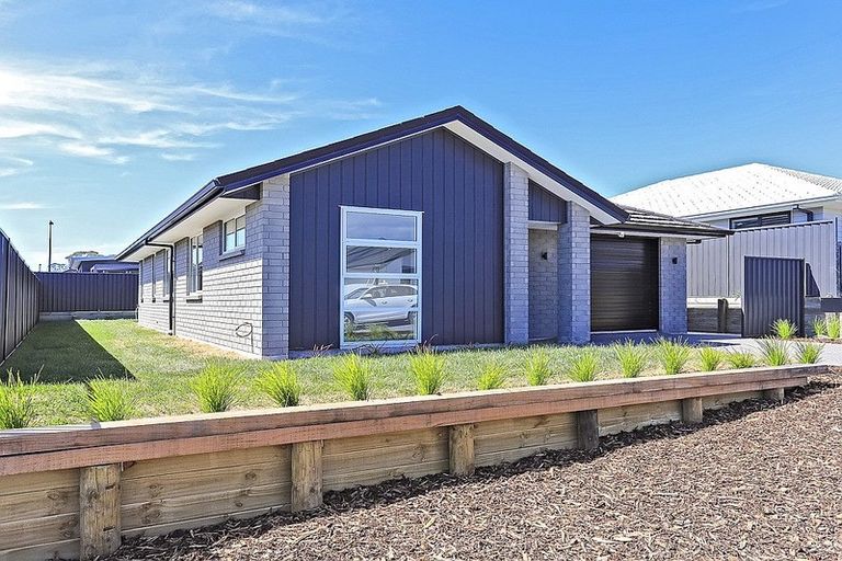 Photo of property in 20 Pioneer Crescent, Omokoroa, 3114