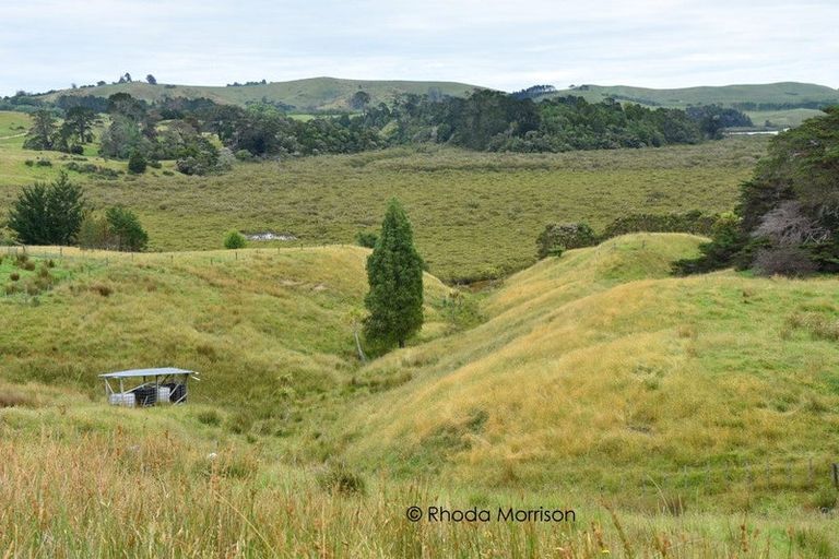 Photo of property in State Highway 12, Paparoa, Maungaturoto, 0583