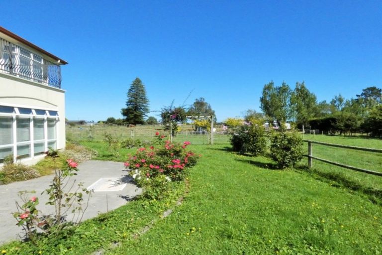 Photo of property in 53 Gladstone Road, Levin, 5571