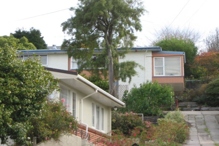 Photo of property in 17a Harcourt Street, Belleknowes, Dunedin, 9011