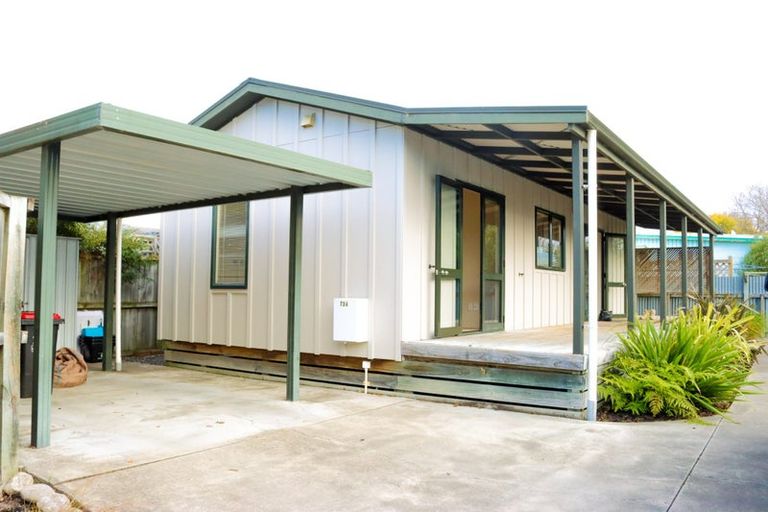 Photo of property in 736 Ngaio Street, Mahora, Hastings, 4120