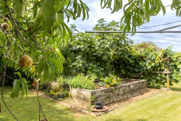 Photo of property in 21 Stanley Avenue, Te Aroha, 3320