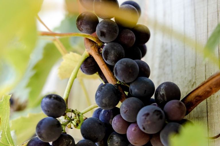 Photo of property in 68 Bert Wall Drive, Omokoroa, 3114