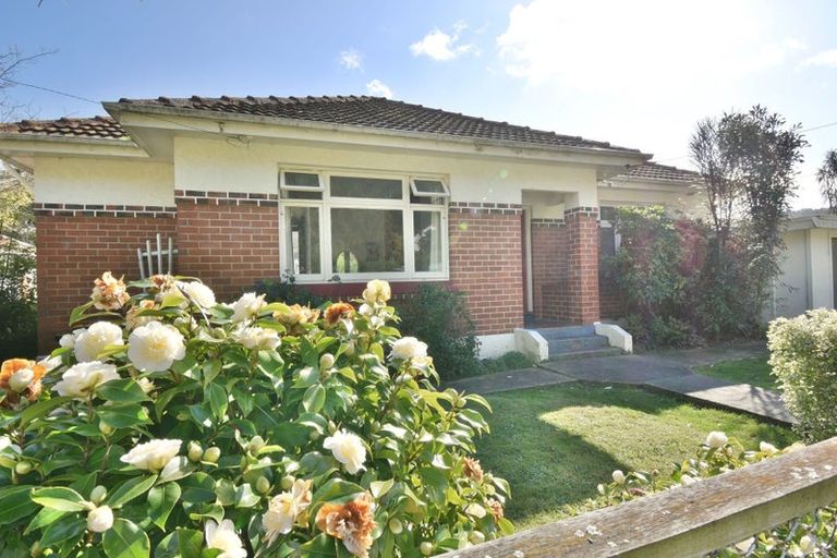 Photo of property in 45 Norwood Street, Normanby, Dunedin, 9010