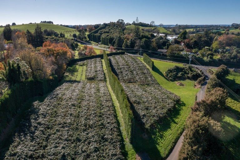 Photo of property in 394 Old Highway, Whakamarama, 3180